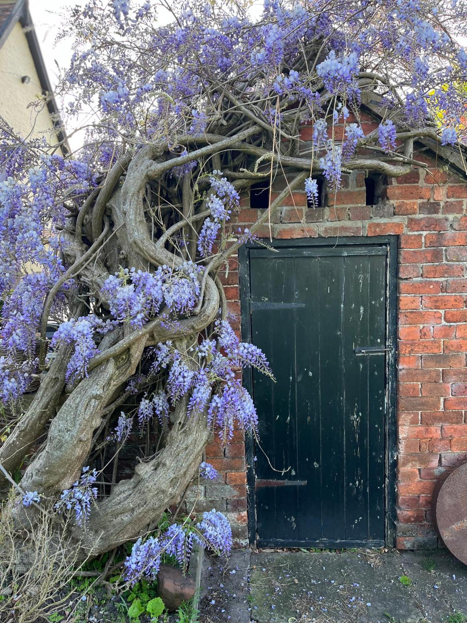 לינה וארוחת בוקר Loppington Spenford House 1640 Listed House Idilic Location Pub Walking Distance מראה חיצוני תמונה